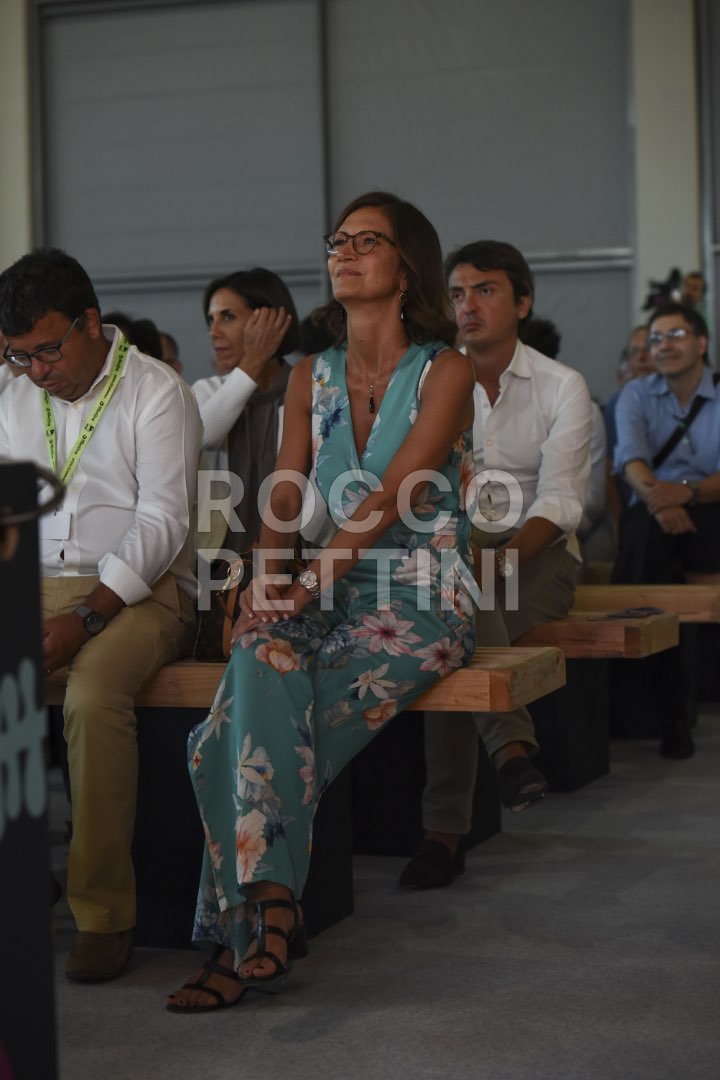 MARIASTELLA GELMINI POLITICO